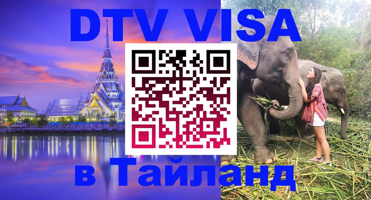 Сколько стоит DTV виза — актуальные цены, оформление даже без документов - Михайловск 