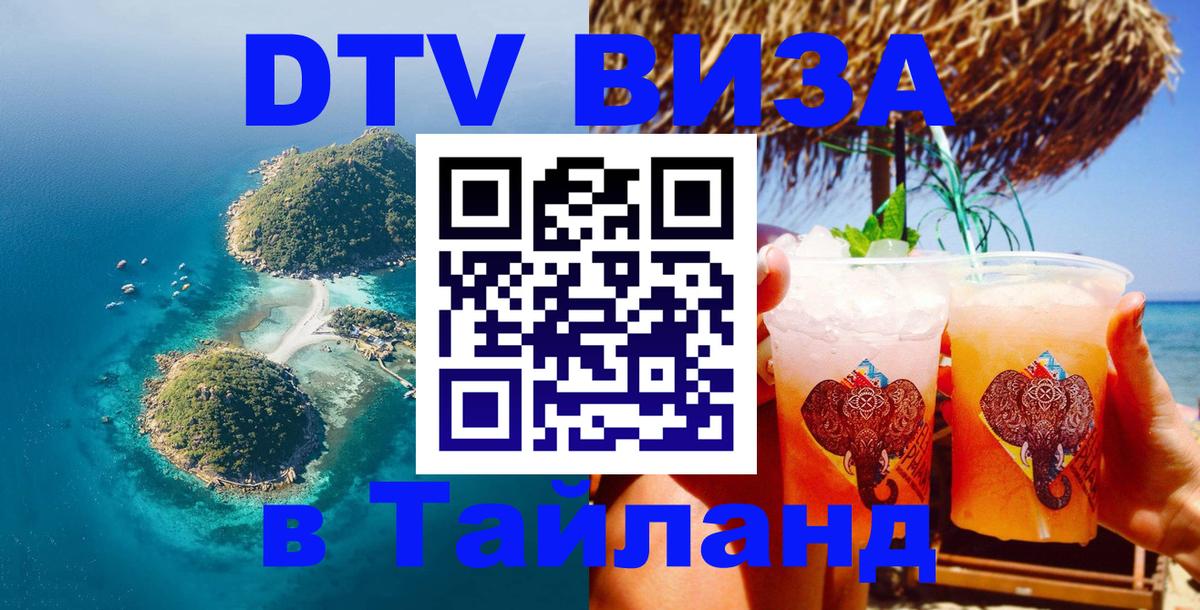 Оформление DTV визы под ключ: стоимость и тарифы, только загранпаспорт - Михайловск 